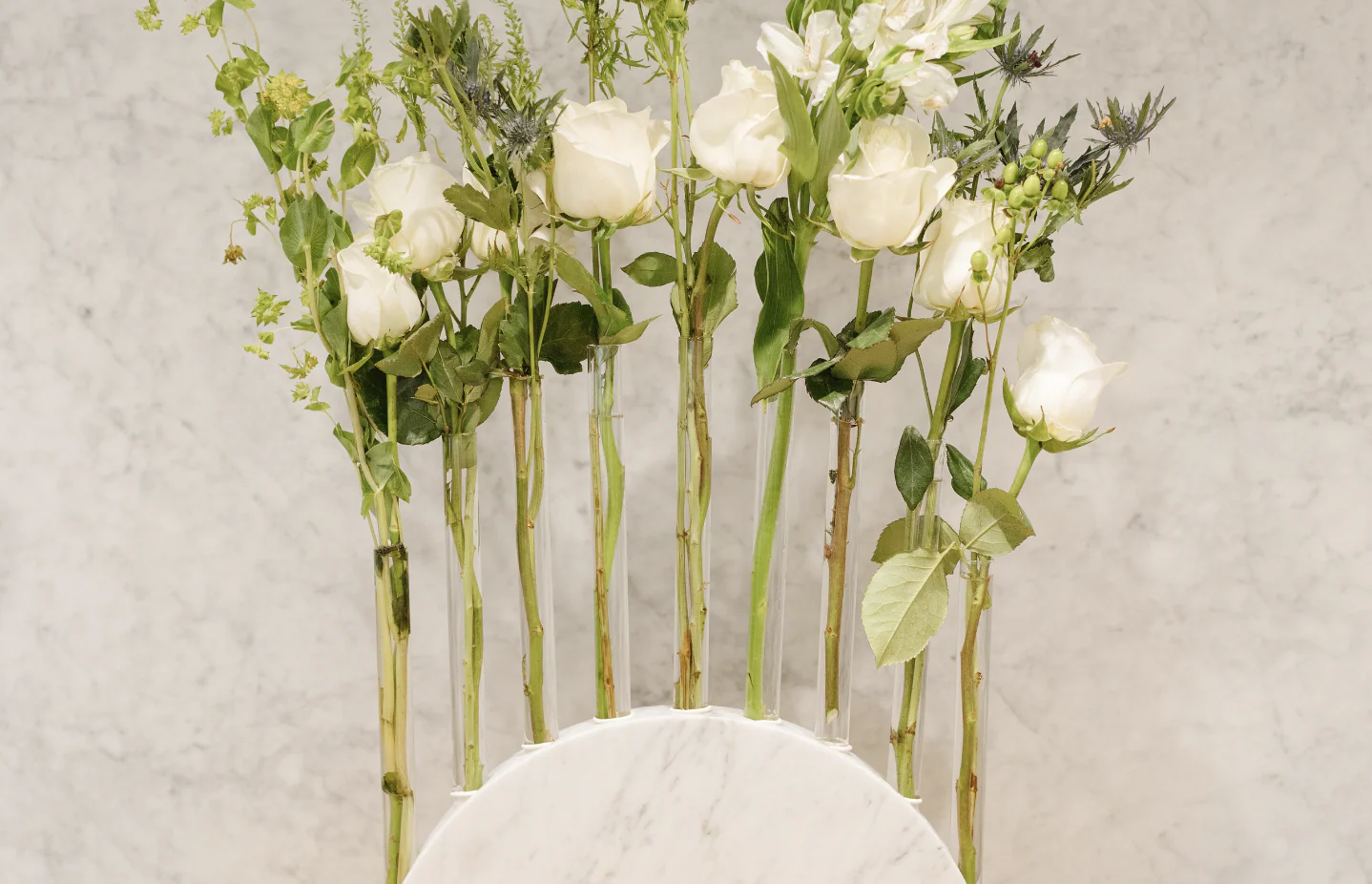 Illuminate Your Family Traditions